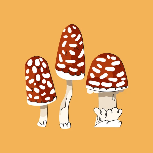 Cogumelos Voam Agárico Cogumelos Irreversíveis Ilustração Plana Vetorial Isolada Sobre — Vetor de Stock