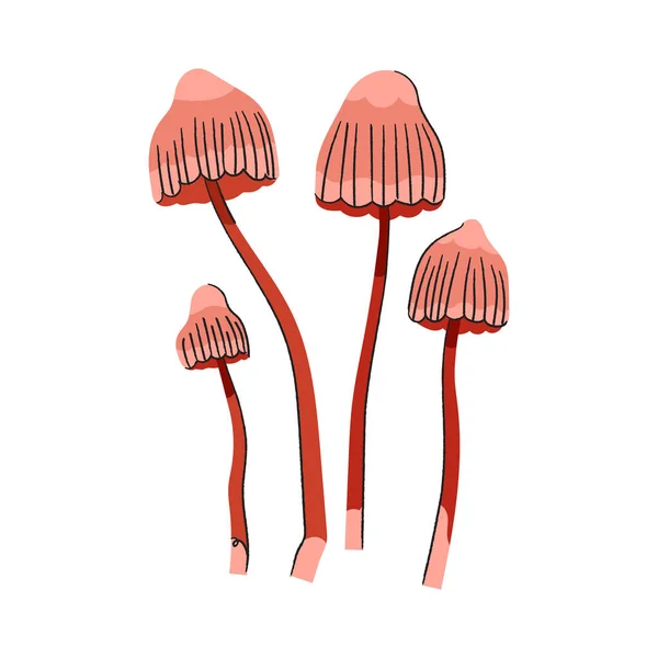 Cogumelos Toadstool Com Tampas Vermelhas Cogumelos Venenosos Alucinogénicos Ilustração Plana — Vetor de Stock