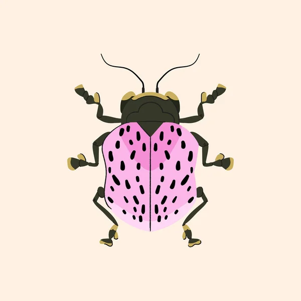 Lindo Escarabajo Rosa Sobre Fondo Beige Mariquita Insecto Vector Ilustración — Archivo Imágenes Vectoriales