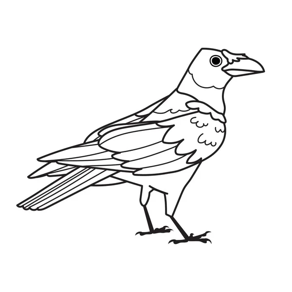 Vettore Black Line Raven Isolato Sfondo Bianco Forest Bird Contorno — Vettoriale Stock