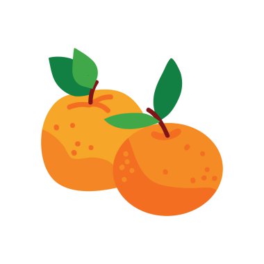 Beyaz arka planda iki Çin mandalinası var. Asya geleneğinin yeni yıl sembolü. Kış meyve vektörü düz illüstrasyon