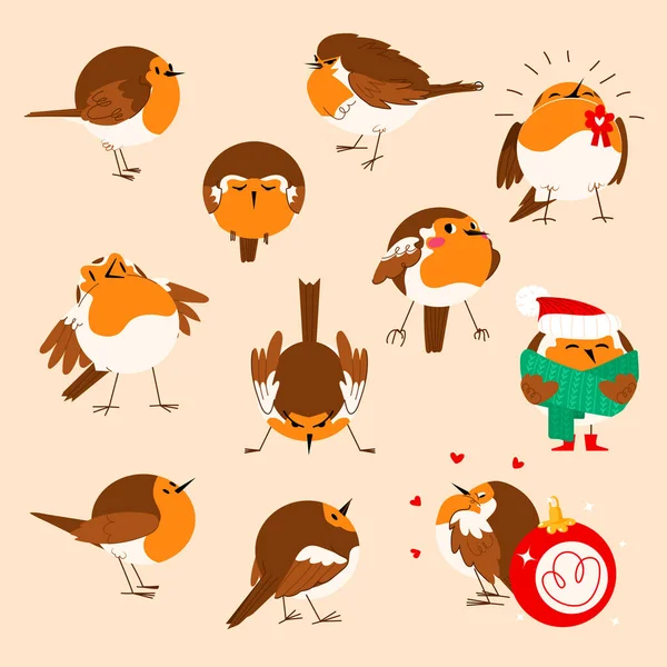 Robin Conjunto Vector Aves Lindo Personaje Pájaro Diferentes Poses Vacaciones — Vector de stock