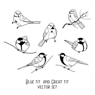 Blue tit and great tit black outline vector set isolated on white background. Winter forest bird animal character line art illustration