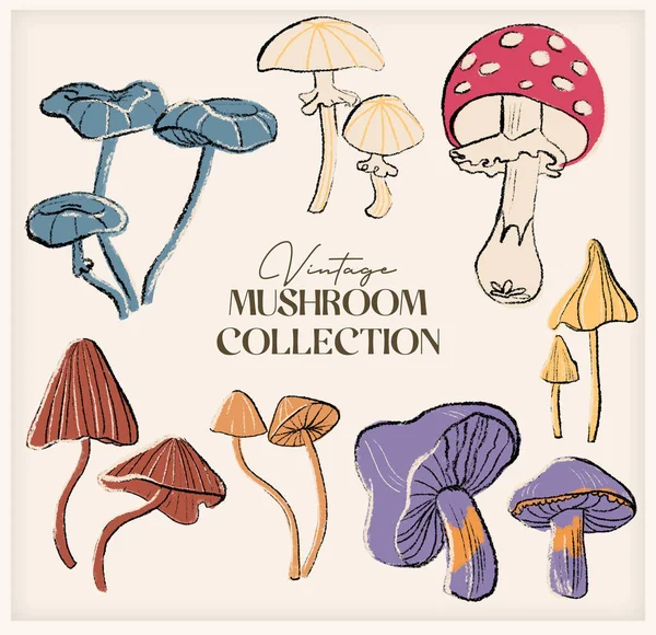 Vintage set with cute colorful mushrooms. Retro bright mushrooms are isolated on beige. Hand drawn collection for fall season.