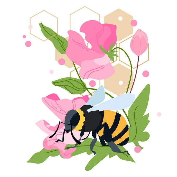 Honigbiene Mit Süßen Erbsenblüten Blättern Und Wabenvektorillustration Isoliert Auf Weißem — Stockvektor