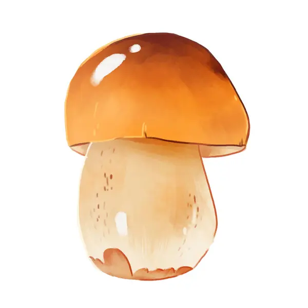 Stock image Boletus orange mushroom isolated on white background. Autumn forest edible fungi illustration