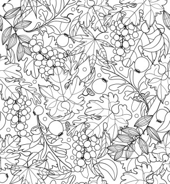 Doğrusal üzümlü kusursuz desen ve siyah beyaz Rowan Besrries. Vektör illüstrasyonu