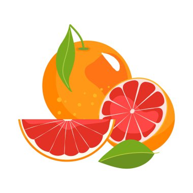 Bir buçuk meyveli greyfurt, yapraklı ve beyaz arka planda izole edilmemiş. Düz bir şekilde vektör illüstrasyonu. Yaz sulu meyvesi