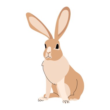 Beyaz arka planda izole edilmiş şirin bej bir tavşan. Hayvan karakter vektör illüstrasyonu