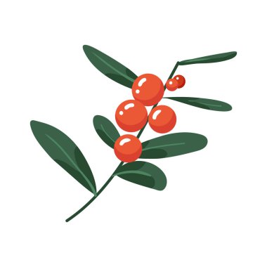 Yapraklı yabani kırmızı böğürtlen. El çizimi doğal elementler: böğürtlen, yaprak, dal. Vektör düz resimleme