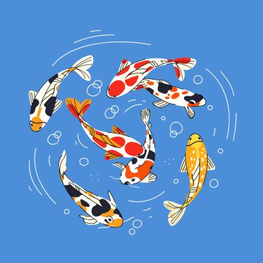 Renkli Koi sazanı suda yüzüyor. Mavi arkaplanda Fish Flat vektör çizimi izole edildi