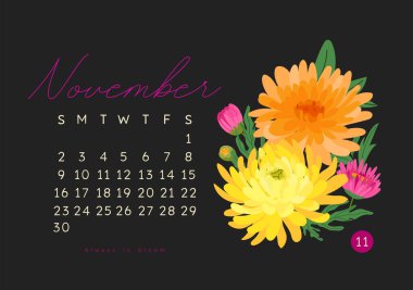 Kasım 2025 için sonbahar kasımpatı çiçekli yatay takvim sayfası. Siyah arka planda izole edilmiş. Hafta pazar günü başlıyor. Vektör illüstrasyon çizgi film biçimi