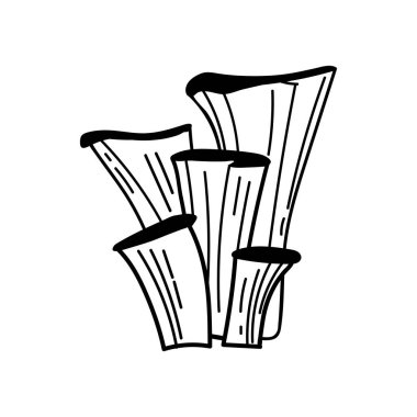 Tüylü mantarlar ana hatlarıyla. Çizgi Sanat Vektörü Ormanı yenilebilir mantar botanik çizim eli beyaz arka planda izole edilmiş