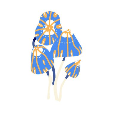 Beyaz arka planda izole edilmiş bir grup mavi Marasmius mantarı. Vektör sanat ormanı mantar mantarı çizimi