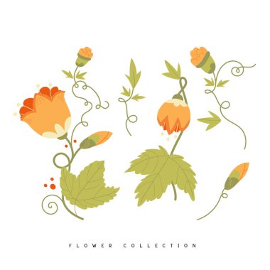 Turuncu çiçek elementlerinin vektör toplama vektörü. Yaban çiçekleri, yaprak dalları, beyaz arka planda yapraklar. Dekor, etiket, klip, baskı tasarımı ve tebrik kartı için el çizimi illüstrasyon