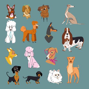 Köpek vektörü ayarlandı. Farklı cinsten köpek koleksiyonu. Çizgi film stili. Baskı, kart, çıkartma, evcil hayvan tasarımı.