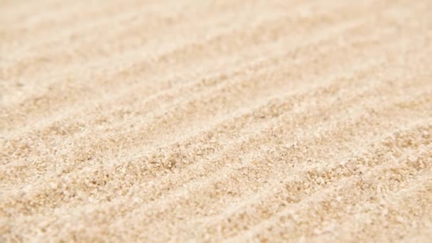 Αμμόλοφος Άμμος Αφηρημένη Βολή — Αρχείο Βίντεο
