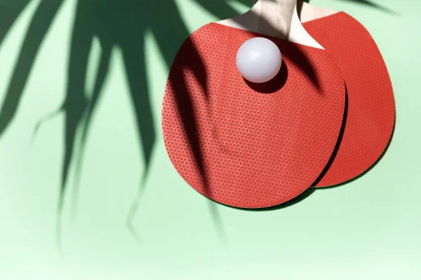 Mesa Ping Pong Com Sombra Planta — Fotografia de Stock