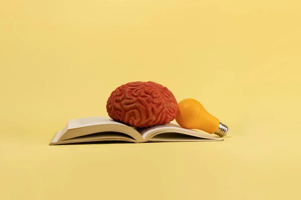 Bir beyin, bir ampul ve sarı zemin üzerine kitaplar, yaratıcı kavram, fikirler..