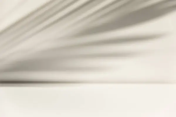 Palmiye yaprağı gölgesi. Ürün için minimalist gölge örtüsü