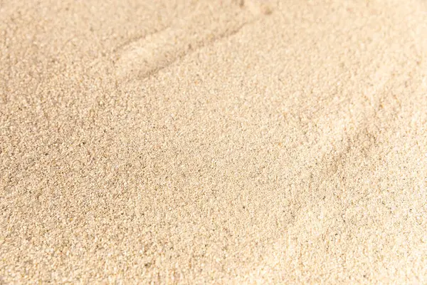 Nehir kenarından kum, yaz konseptinde doğa. Yüksek kalite fotoğraf