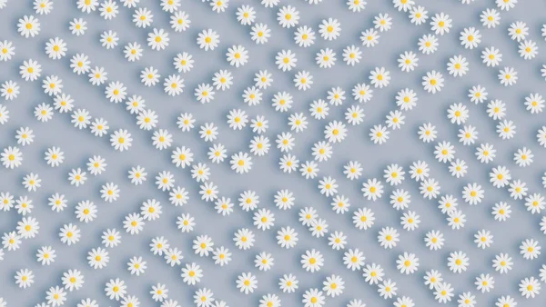 Classical style painting white Paris Daisy flower, grey background, seamless pattern