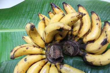 Yeşil yapraklı muzlar.