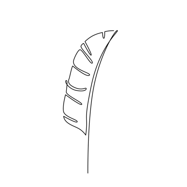 Banana Leaf Line Art Verbindung Setzen Vektorpflanzenblatt Kontinuierliche Linienzeichnung Vektor — Stockvektor