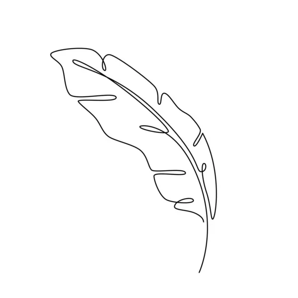 Feather Line Art Verbindung Setzen Vector Feather Kontinuierliche Linienzeichnung Vektor — Stockvektor
