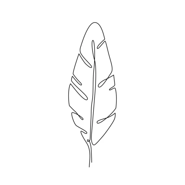 Banana Leaf Line Art 矢量植物叶片连续画线 用于印刷海报 带有棕榈叶的贴纸纹身盒的载体 羽毛一行手绘彩绘羽毛画图 — 图库矢量图片