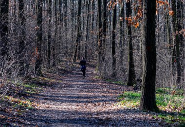 a woman jogging for sports in the woods