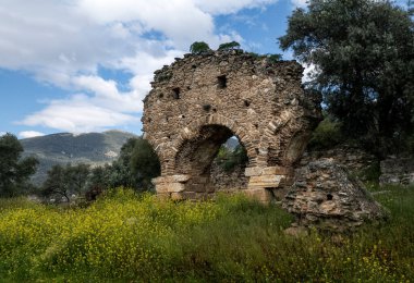 Nysa Antik Şehir Tarihi M.Ö. 3. yüzyıla dayanıyor. Antiochos Soter tarafından inşa edilmiş ve eşi Nysa adına kurulmuştur..