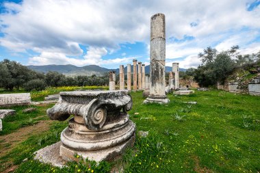 Nysa Antik Şehir Tarihi M.Ö. 3. yüzyıla dayanıyor. Antiochos Soter tarafından inşa edilmiş ve eşi Nysa adına kurulmuştur..