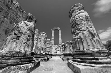 Didim 'deki Apollo Tapınağı, Türkiye' nin batısındaki antik bir liman kenti olan Miletus 'un 18 kilometre güneyindeki antik Yunan dünyasının dördüncü büyük tapınağıydı..