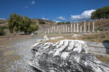 Asklepion Arkeolojik Alanı