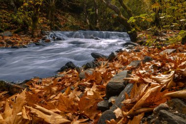 Alahidir 'deki tarihi Çakıcı köprüsü