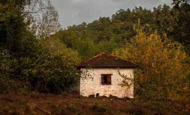 Ciplakdegirmen eski bir taş bina ve sonbahar manzarası