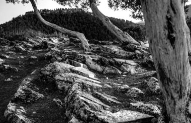 Ncegiz 'in izleme tepesindeki kayalar