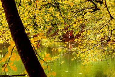 Sonbaharda Yedigoller 'den görüntü
