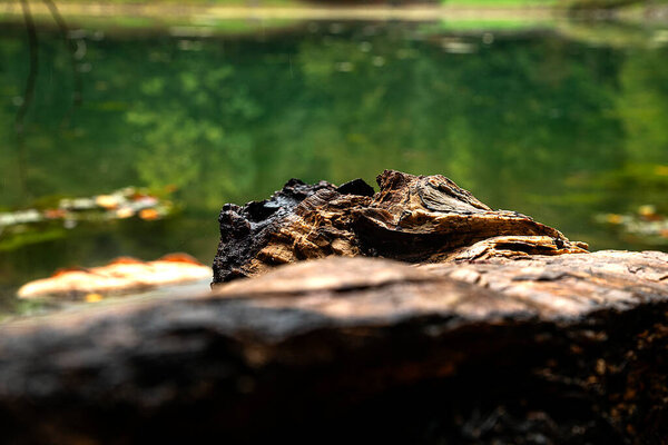 View from Yedigoller in autumn