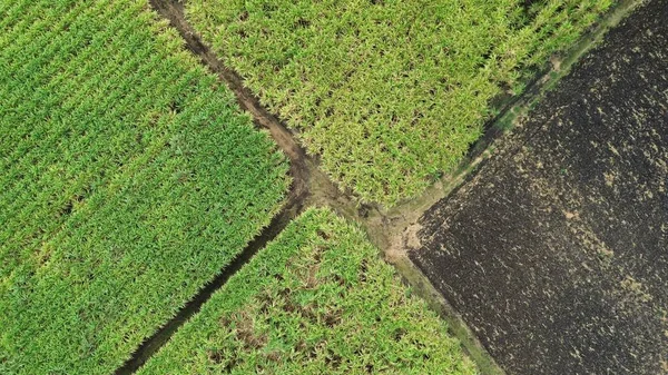 Mae Hong Son - Tayland 