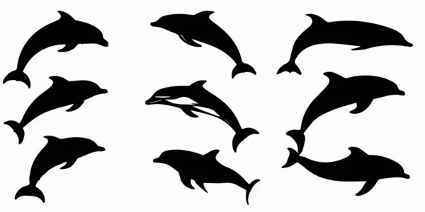 Golfinhos Preparados Silhuetas Golfinhos Golfinhos — Vetor de Stock
