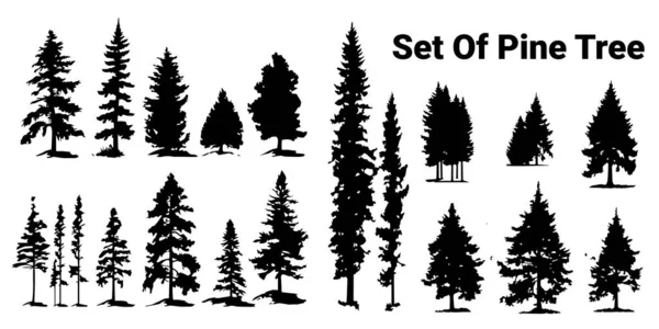 Набор Сосновых Деревьев Изолированная Иллюстрация Белом Фоне — стоковый вектор