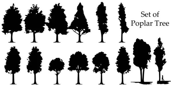 Векторный Набор Силуэтов Деревьев — стоковый вектор