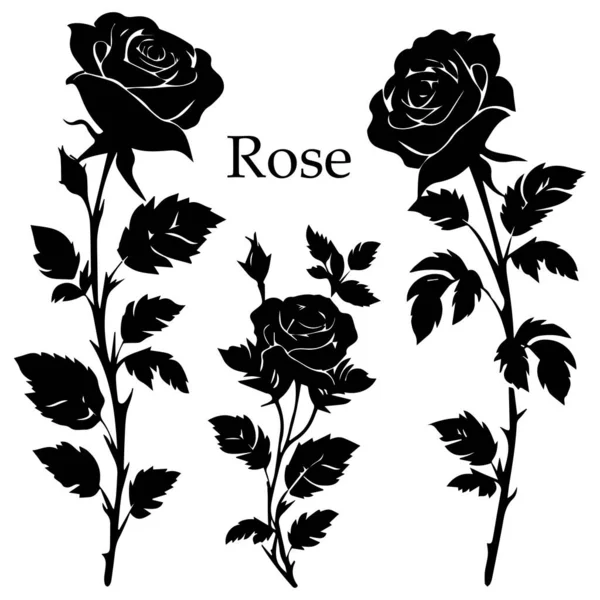 Illustration Vectorielle Fleur Rose — Image vectorielle