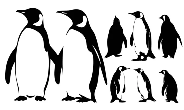 Vector Conjunto Pingüinos — Vector de stock
