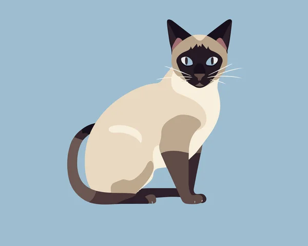 Cat Cartoon Design Animal Pet Cute Life Character Nature Fauna — Stock Vector