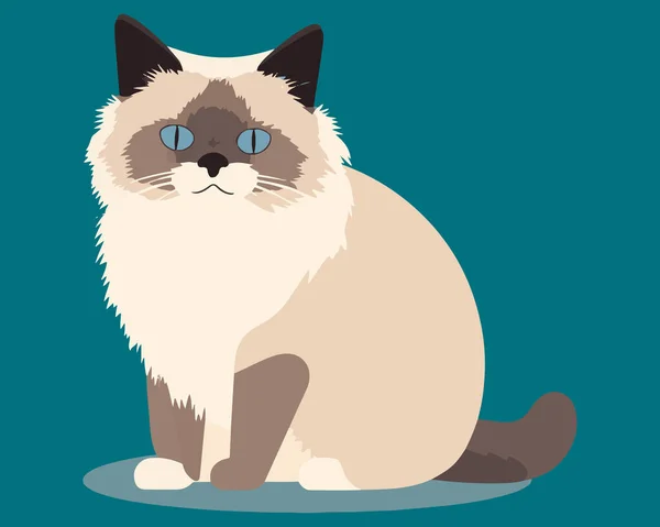 青い目の猫 ベクトルイラスト フラットなスタイル — ストックベクタ