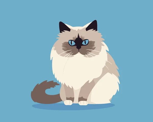 Cat Pet Cartoon Vector Illustration — Stock Vector
