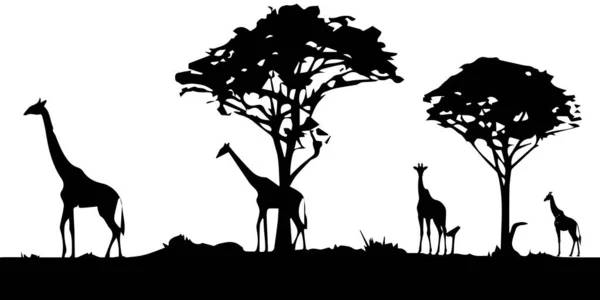 野生動物のシルエットのベクトル図 — ストックベクタ